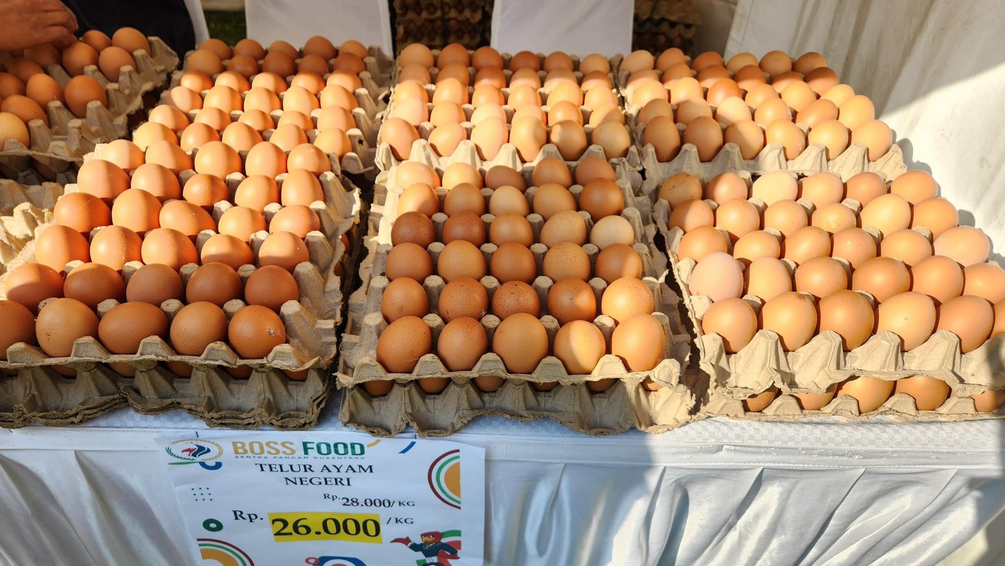 Telur Ayam Negeri - Image 3